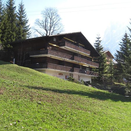 Superior Apartment 100M2 Bodmisonne - Grindelwald Exterior photo