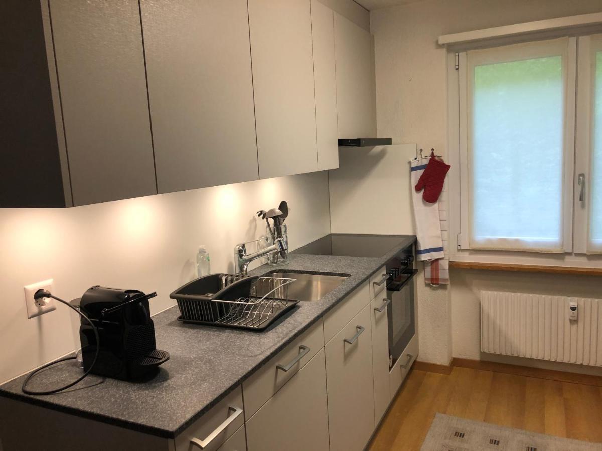 Superior Apartment 100M2 Bodmisonne - Grindelwald Exterior photo