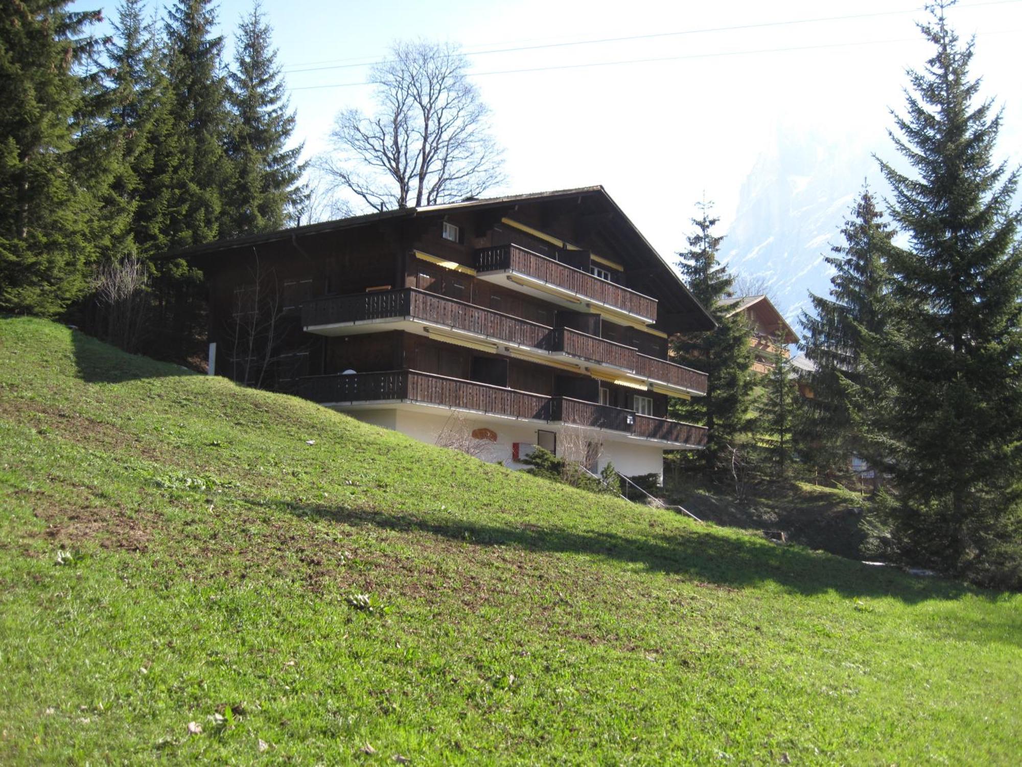 Superior Apartment 100M2 Bodmisonne - Grindelwald Exterior photo