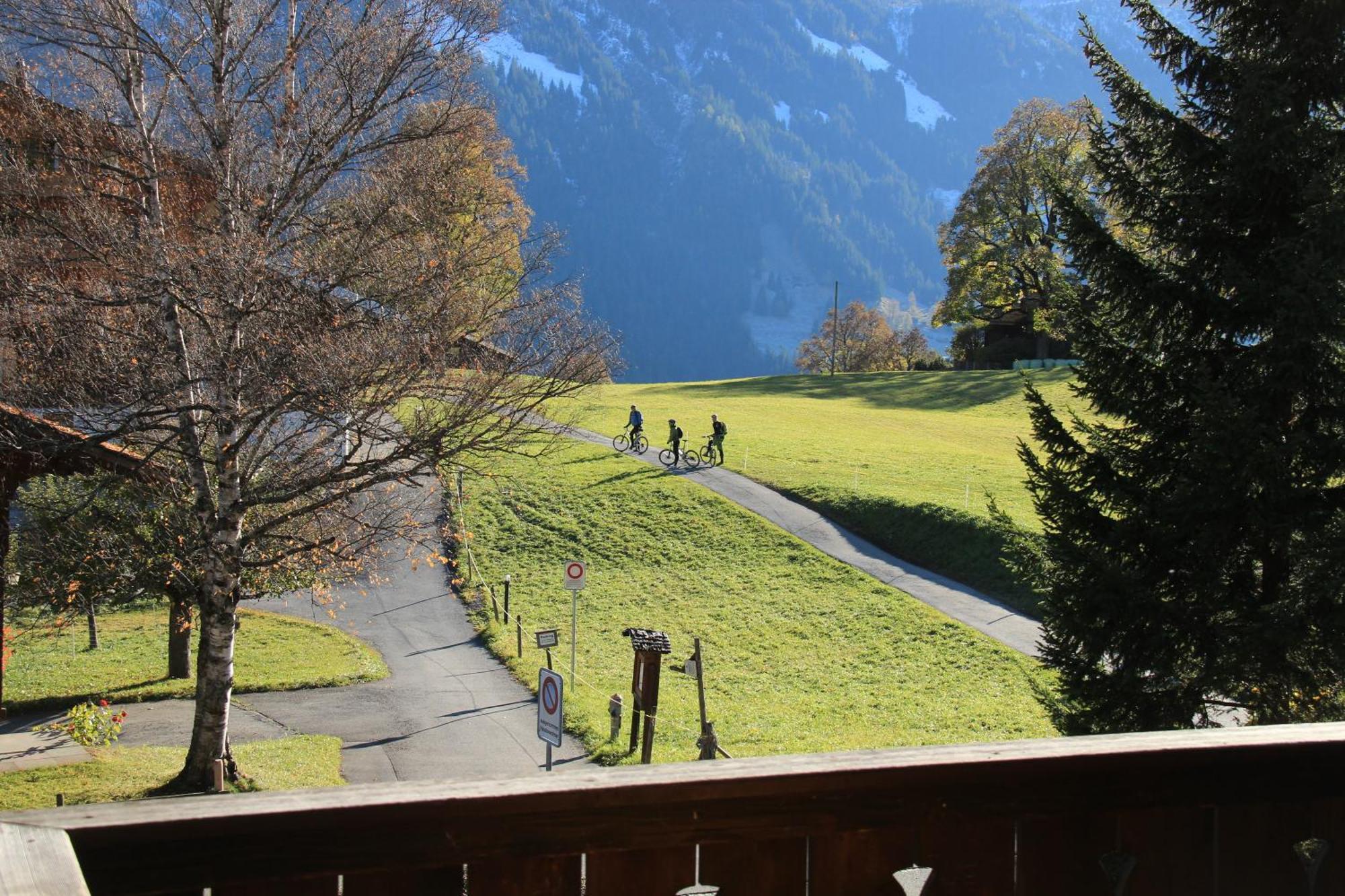 Superior Apartment 100M2 Bodmisonne - Grindelwald Exterior photo